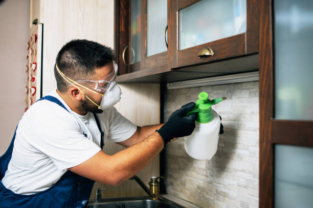 Best Local Pest Control Services  in Mcconnellstown, PA