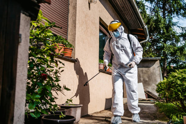 Best Exterminator Services  in Mcconnellstown, PA