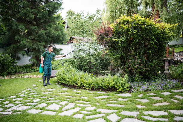 Best Pest Control Near Me  in Mcconnellstown, PA