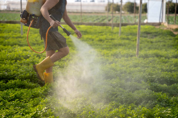 Best Insect Control  in Mcconnellstown, PA
