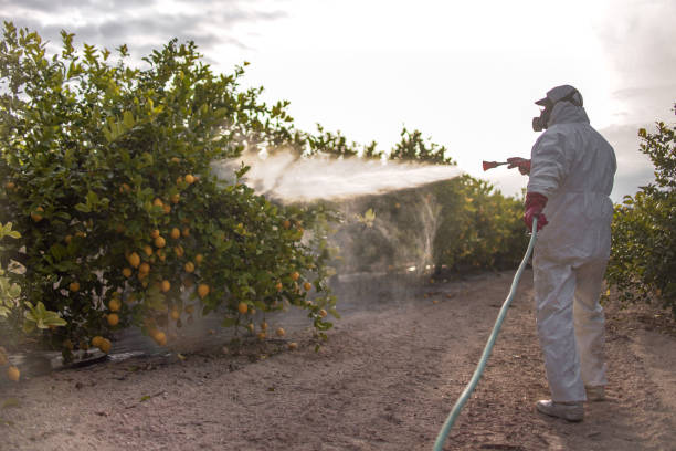 Best Ant Control Services  in Mcconnellstown, PA