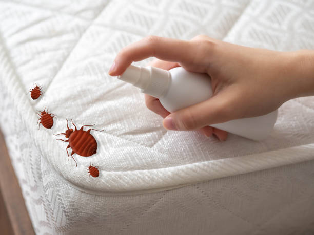 Reliable Mcconnellstown, PA Pest Control Solutions