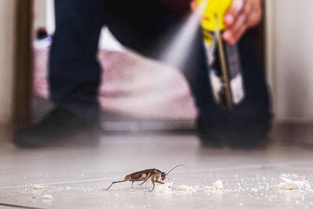 Best Pest Control Near Me  in Mcconnellstown, PA