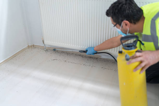 Best Cockroach Control Services  in Mcconnellstown, PA